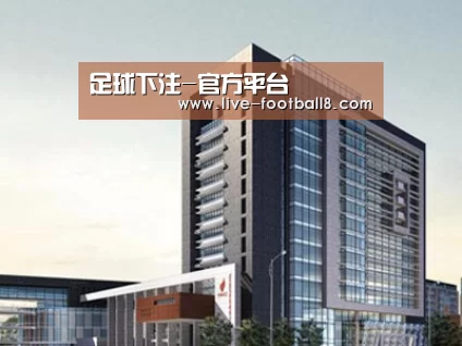案例展示七
