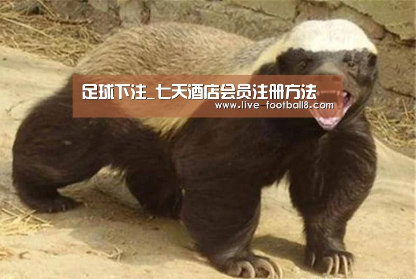 足球下注_七天酒店会员注册方法(图3) 足球下注平台