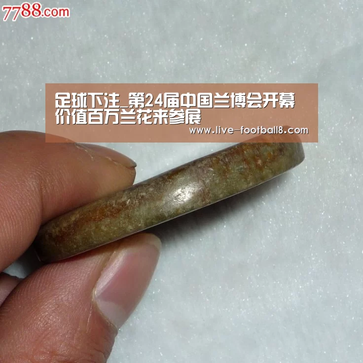 足球下注_第24届中国兰博会开幕价值百万兰花来参展(图1) 足球下注平台